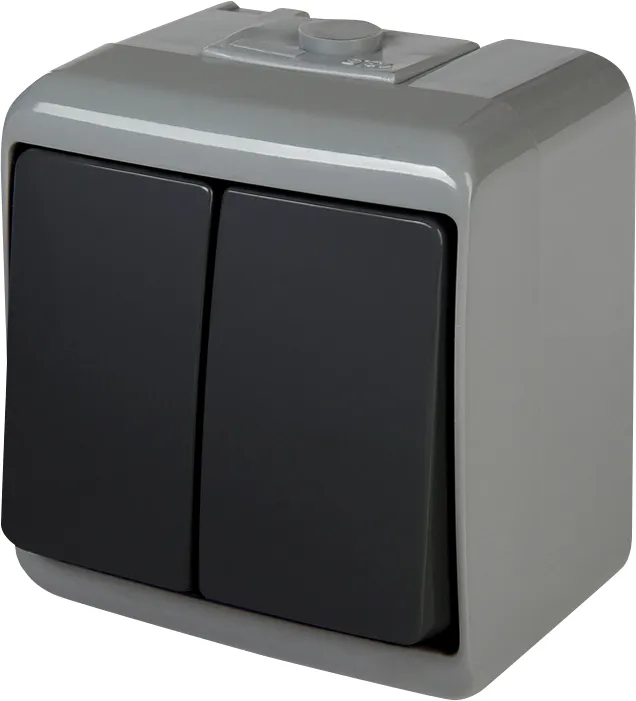 Розетка VHE-2-SRG 004668097