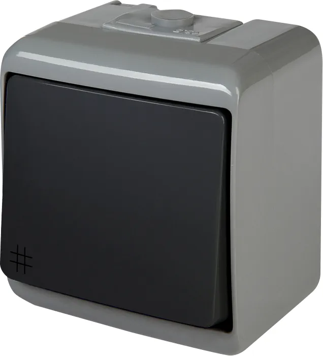 Розетка VHE-6-SRG 004668101