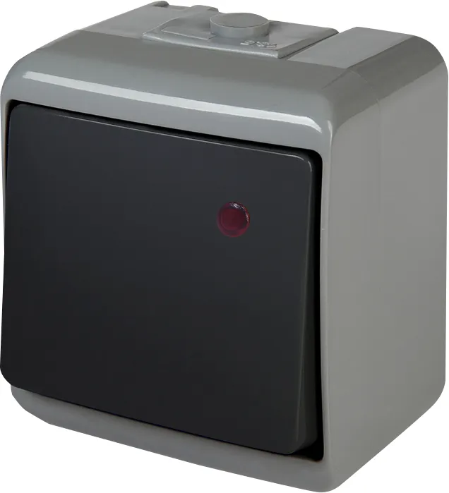 Розетка VHE-1L-SRG 004668102